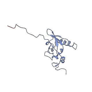 10690_6y57_SP_v1-0
Structure of human ribosome in hybrid-PRE state