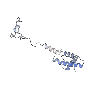 10690_6y57_SR_v1-0
Structure of human ribosome in hybrid-PRE state