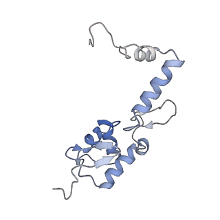 10690_6y57_SS_v1-0
Structure of human ribosome in hybrid-PRE state