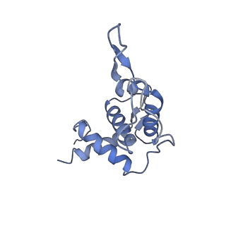 10690_6y57_ST_v1-0
Structure of human ribosome in hybrid-PRE state