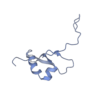 10690_6y57_SV_v1-0
Structure of human ribosome in hybrid-PRE state