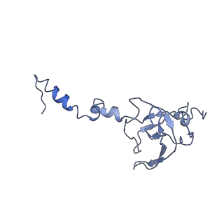 10690_6y57_SX_v1-0
Structure of human ribosome in hybrid-PRE state