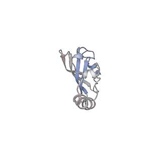 10690_6y57_SY_v1-0
Structure of human ribosome in hybrid-PRE state