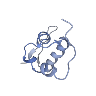 10690_6y57_SZ_v1-0
Structure of human ribosome in hybrid-PRE state