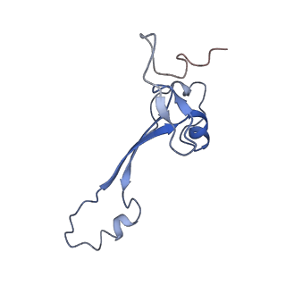 10690_6y57_Sa_v1-0
Structure of human ribosome in hybrid-PRE state