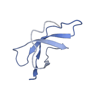 10690_6y57_Sc_v1-0
Structure of human ribosome in hybrid-PRE state