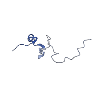 10690_6y57_Sd_v1-0
Structure of human ribosome in hybrid-PRE state