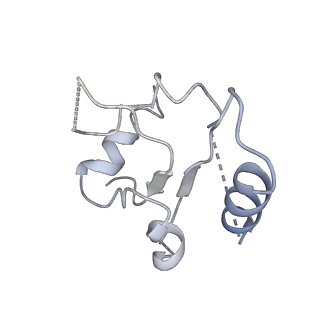 10690_6y57_Sf_v1-0
Structure of human ribosome in hybrid-PRE state