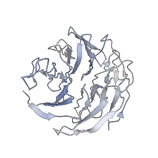 10690_6y57_Sg_v1-0
Structure of human ribosome in hybrid-PRE state