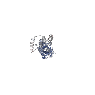 10691_6y59_A_v1-1
5-HT3A receptor in Salipro (apo, C5 symmetric)
