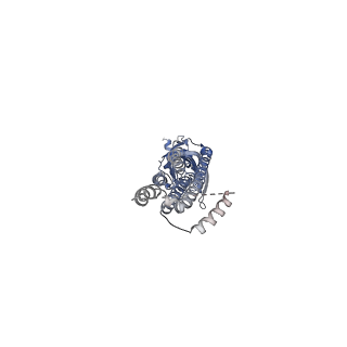 10691_6y59_C_v1-1
5-HT3A receptor in Salipro (apo, C5 symmetric)