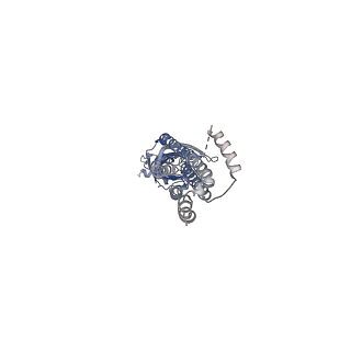 10691_6y59_D_v1-1
5-HT3A receptor in Salipro (apo, C5 symmetric)