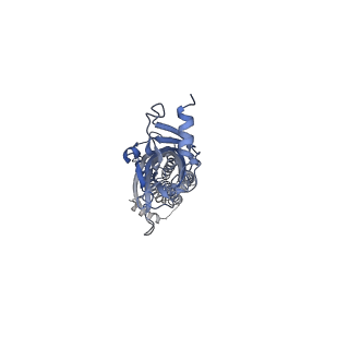 10693_6y5b_A_v1-1
5-HT3A receptor in Salipro (apo, asymmetric)
