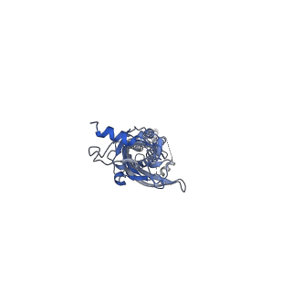 10693_6y5b_B_v1-1
5-HT3A receptor in Salipro (apo, asymmetric)
