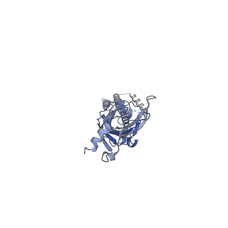 10693_6y5b_C_v1-1
5-HT3A receptor in Salipro (apo, asymmetric)