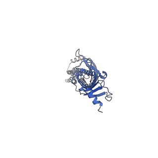 10693_6y5b_D_v1-1
5-HT3A receptor in Salipro (apo, asymmetric)