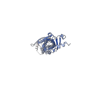 10693_6y5b_E_v1-1
5-HT3A receptor in Salipro (apo, asymmetric)