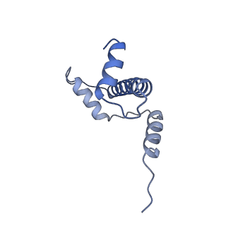 10694_6y5d_A_v1-1
Structure of human cGAS (K394E) bound to the nucleosome