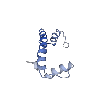 10694_6y5d_B_v1-1
Structure of human cGAS (K394E) bound to the nucleosome
