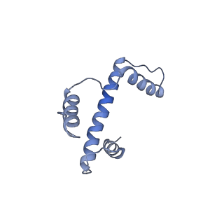 10694_6y5d_E_v1-1
Structure of human cGAS (K394E) bound to the nucleosome