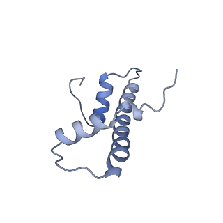 10694_6y5d_F_v1-1
Structure of human cGAS (K394E) bound to the nucleosome