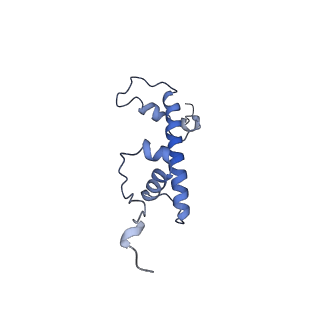 10694_6y5d_G_v1-1
Structure of human cGAS (K394E) bound to the nucleosome