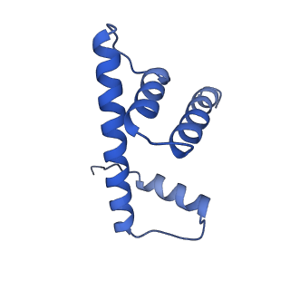 10694_6y5d_H_v1-1
Structure of human cGAS (K394E) bound to the nucleosome