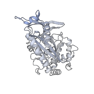 10694_6y5d_K_v1-1
Structure of human cGAS (K394E) bound to the nucleosome