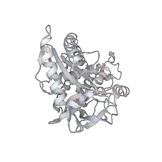 10694_6y5d_L_v1-1
Structure of human cGAS (K394E) bound to the nucleosome