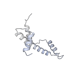10694_6y5d_M_v1-1
Structure of human cGAS (K394E) bound to the nucleosome