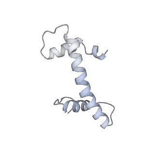 10694_6y5d_N_v1-1
Structure of human cGAS (K394E) bound to the nucleosome
