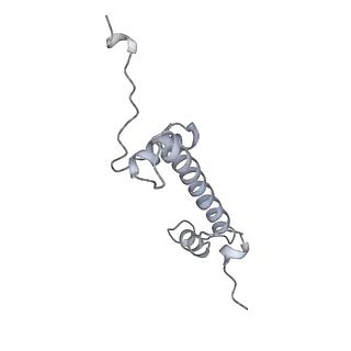 10694_6y5d_O_v1-1
Structure of human cGAS (K394E) bound to the nucleosome