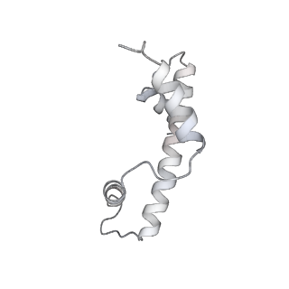 10694_6y5d_Q_v1-1
Structure of human cGAS (K394E) bound to the nucleosome