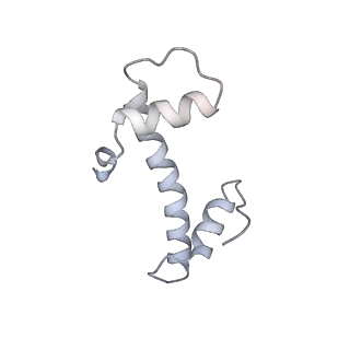 10694_6y5d_R_v1-1
Structure of human cGAS (K394E) bound to the nucleosome