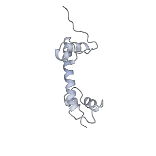 10694_6y5d_S_v1-1
Structure of human cGAS (K394E) bound to the nucleosome