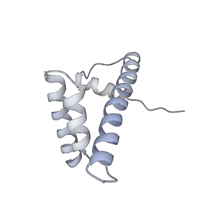 10694_6y5d_T_v1-1
Structure of human cGAS (K394E) bound to the nucleosome