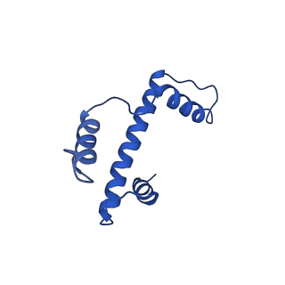 10695_6y5e_E_v1-1
Structure of human cGAS (K394E) bound to the nucleosome (focused refinement of cGAS-NCP subcomplex)
