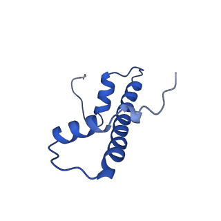 10695_6y5e_F_v1-1
Structure of human cGAS (K394E) bound to the nucleosome (focused refinement of cGAS-NCP subcomplex)