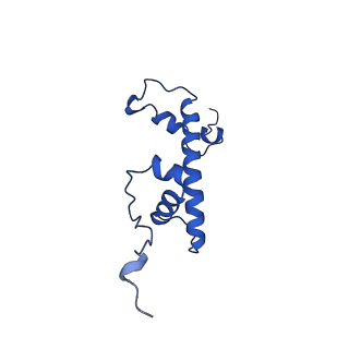 10695_6y5e_G_v1-1
Structure of human cGAS (K394E) bound to the nucleosome (focused refinement of cGAS-NCP subcomplex)
