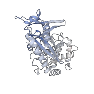 10695_6y5e_K_v1-1
Structure of human cGAS (K394E) bound to the nucleosome (focused refinement of cGAS-NCP subcomplex)