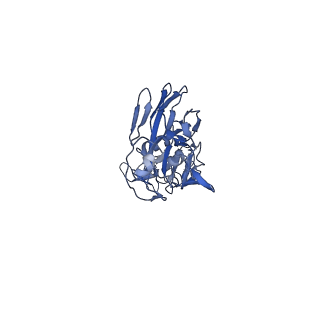 10696_6y5g_E_v1-1
Ectodomain of X-31 Haemagglutinin at pH 8