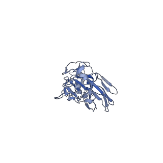 10697_6y5h_A_v1-1
Ectodomain of X-31 Haemagglutinin at pH 5 (State I)