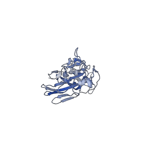 10697_6y5h_C_v1-1
Ectodomain of X-31 Haemagglutinin at pH 5 (State I)