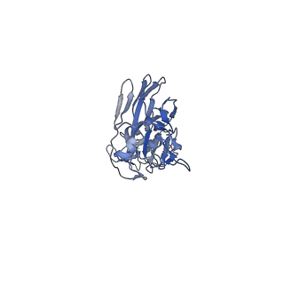 10697_6y5h_E_v1-1
Ectodomain of X-31 Haemagglutinin at pH 5 (State I)