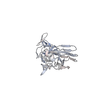 10700_6y5k_A_v1-2
Extended Intermediate form of X-31 Influenza Haemagglutinin at pH 5 (State IV)