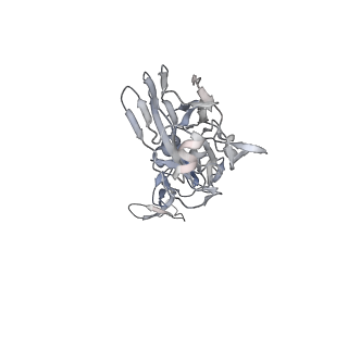 10700_6y5k_E_v1-2
Extended Intermediate form of X-31 Influenza Haemagglutinin at pH 5 (State IV)
