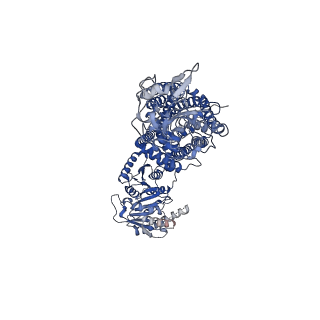 10703_6y5r_B_v1-0
Structure of Human Potassium Chloride Transporter KCC3 S45D/T940D/T997D in NaCl