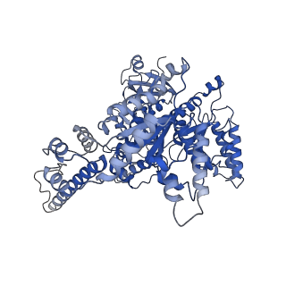 33611_7y53_A_v1-1
The cryo-EM structure of human ERAD retro-translocation complex