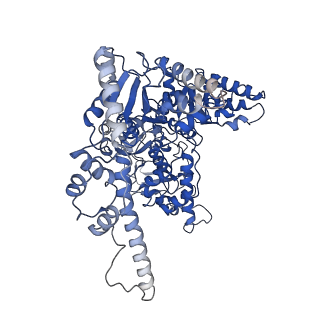 33611_7y53_B_v1-1
The cryo-EM structure of human ERAD retro-translocation complex