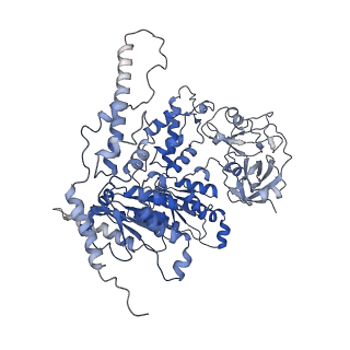 33611_7y53_E_v1-1
The cryo-EM structure of human ERAD retro-translocation complex